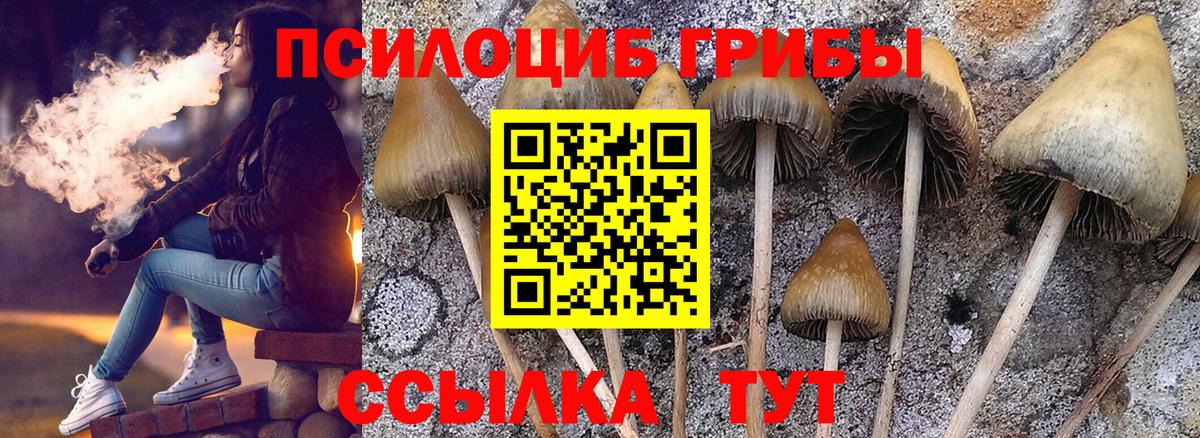 Псилоцибиновые грибы Magic Shrooms Барнаул