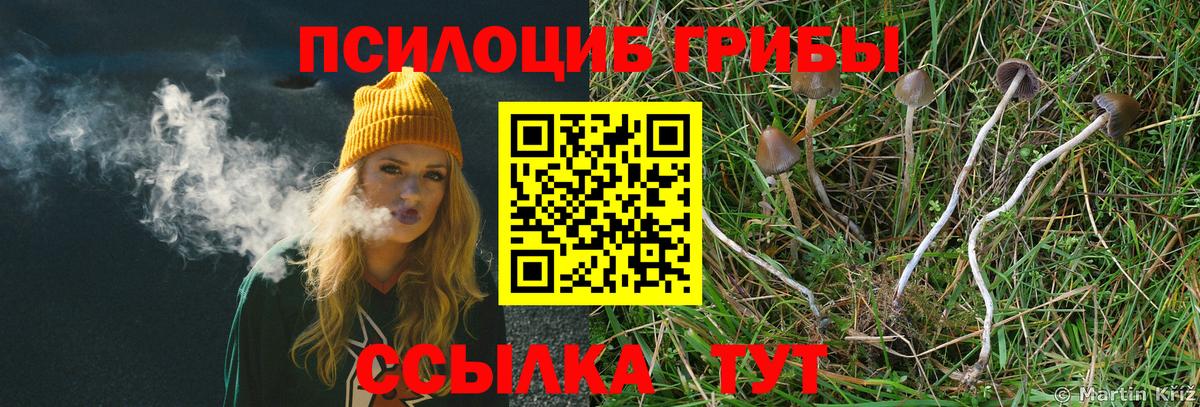 Псилоцибиновые грибы мухоморы Барнаул