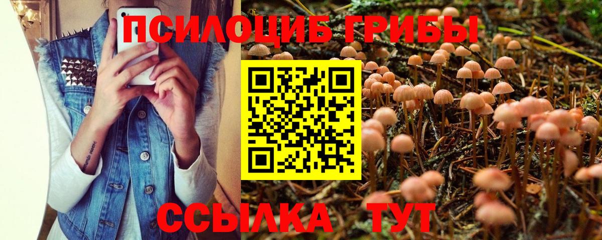 Псилоцибиновые грибы мухоморы  Вход с VPN  Барнаул 