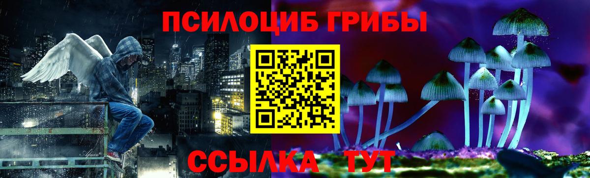 Псилоцибиновые грибы Magic Shrooms  Барнаул 